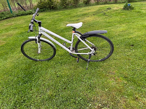Insera reflex 390
