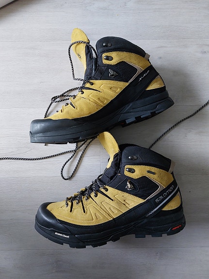 Salomon X Alp Mid LTR GTX