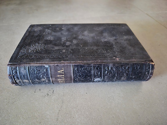 Biblia Pyhä Raamattu 1901