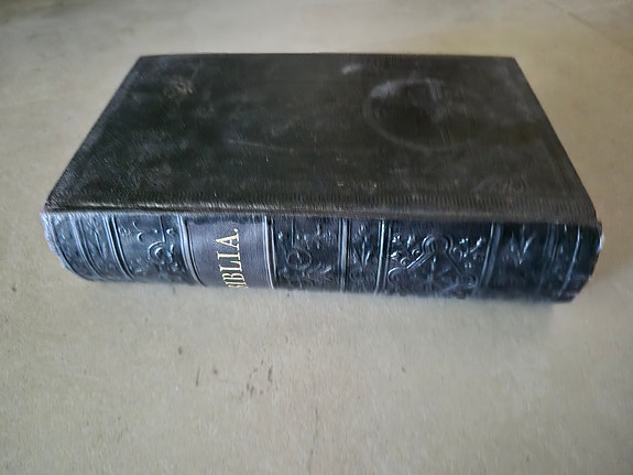 Biblia Pyhä Raamattu 1906