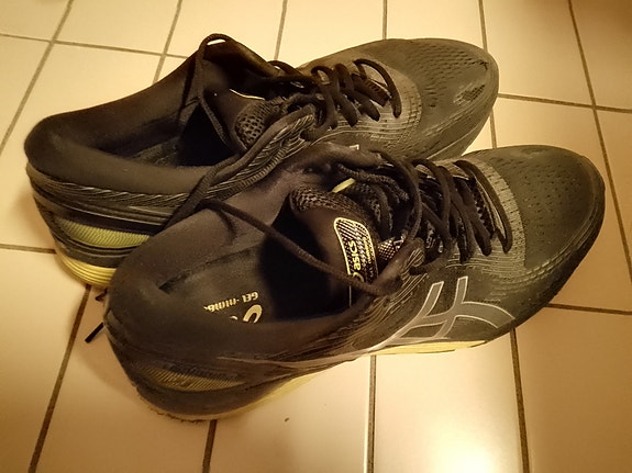 Asics, Gel nimbus 21
