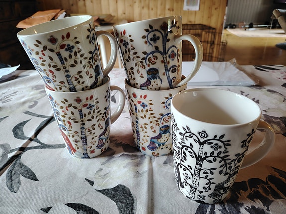 Iittala Taika mukit 5 kpl