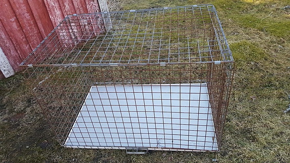 Metallihäkki