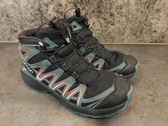 Salomon 39