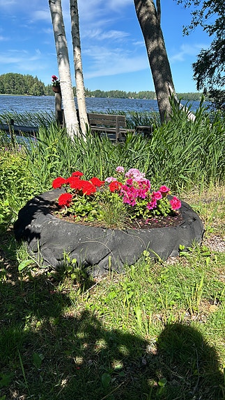 Vanha traktorin ulkorengas