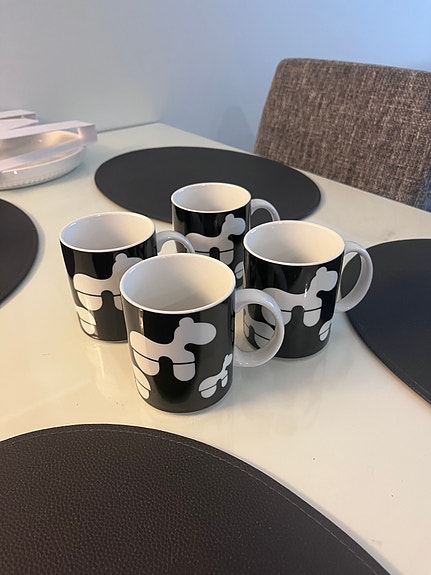 Eero Aarnion pony mukit