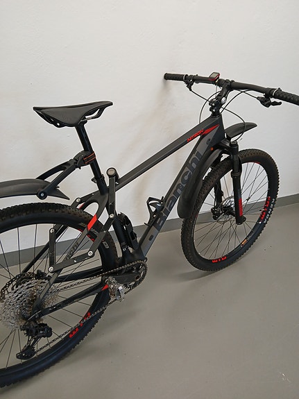 Bianchi