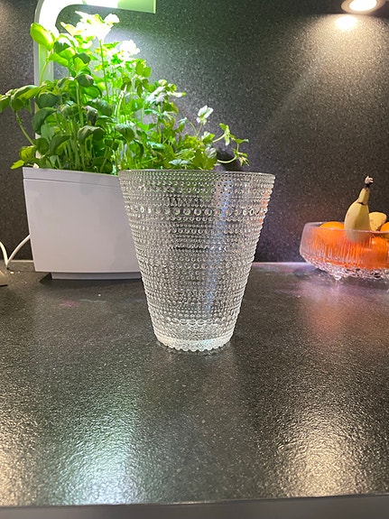 Iittala Kastehelmi maljakko kirkas