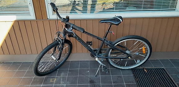 Crescent 24"