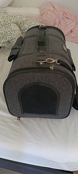 Pet carrier