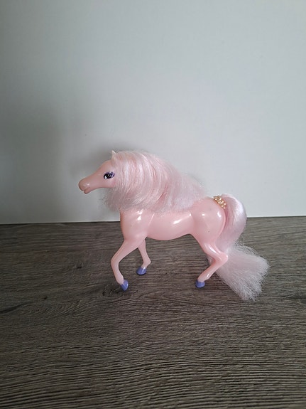 Poni