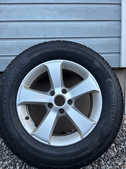 Tiguan nastarenkaat