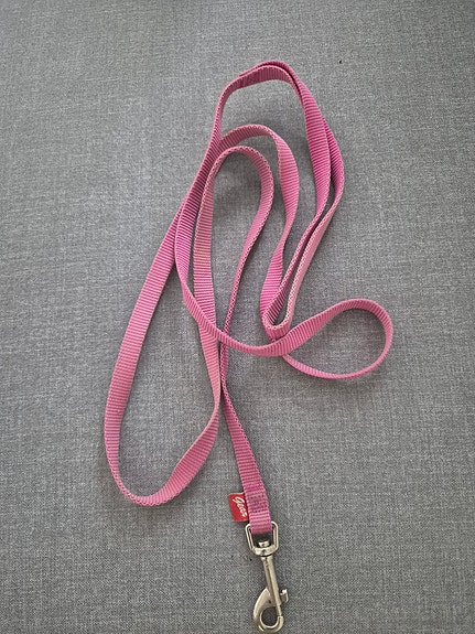 Gear koiran hihna 170cm