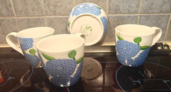 Marimekko Primavera astiat