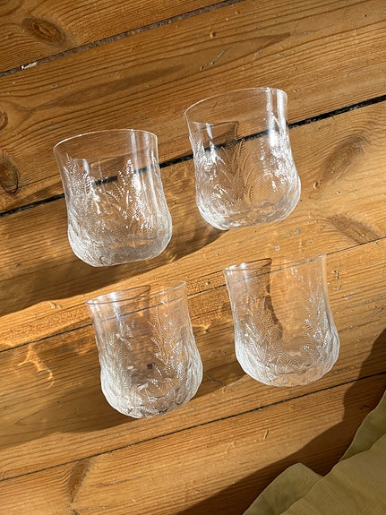 Iittala koivu lasit 4 kpl