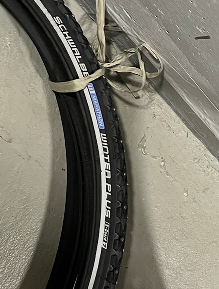 Schwalbe Winter Plus nastarenkaat