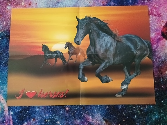 Vanha heppa juliste koko 42 x 60 cm