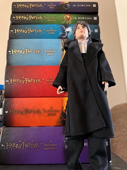Harry Potter- kirjasarja ja figuuri