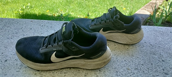 Nike Zoom 38