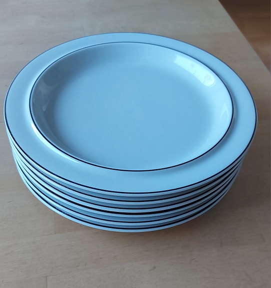 Arabia Fennica lautaset 24 cm, 6 kappaletta