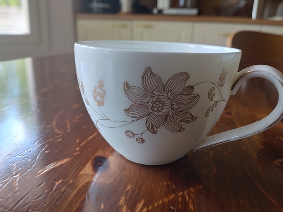 Villeroy & Boch kahvikuppi / Bone China