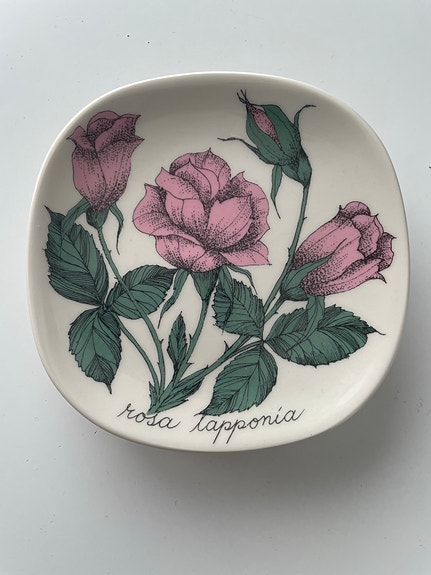 Arabia Botanica seinälautanen