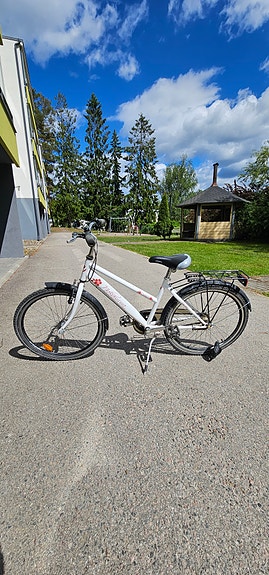Nakamura 24"