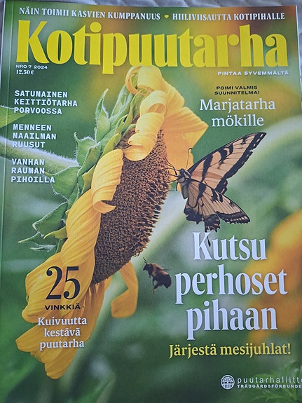 Kotipuutarha -lehti 7/2024
