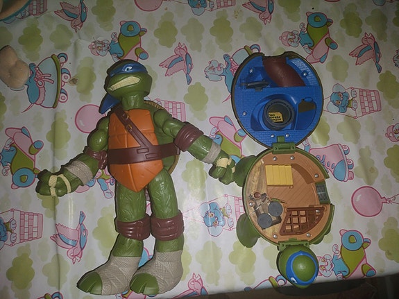 turtles