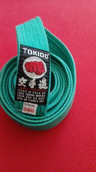 Tokido vihreä vyö 240