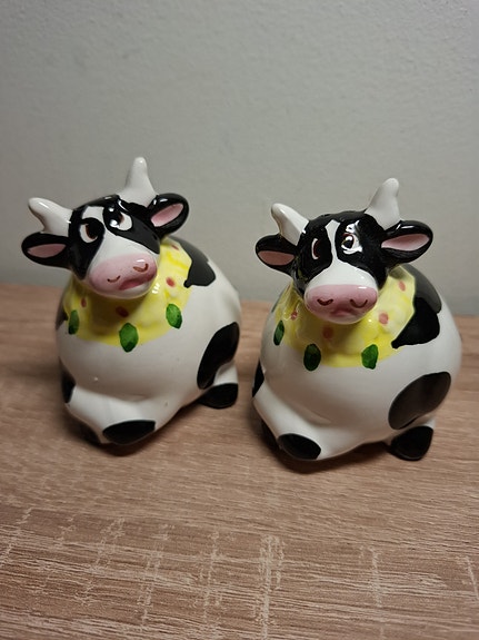 Suola jo pippuri siroitin