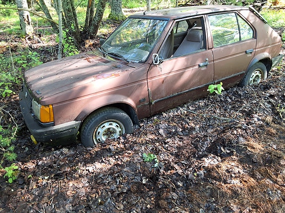 Talbot horizon 1.9D
