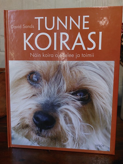 Tunne koirasi