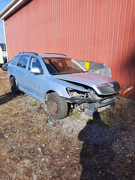 Skoda octavia 10vm osina