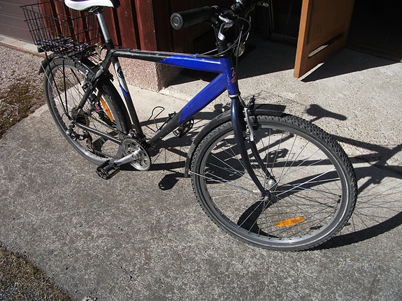 Miesten Raleigh 26"
