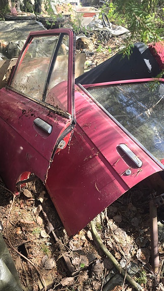 Nissan/Datsun Ovia