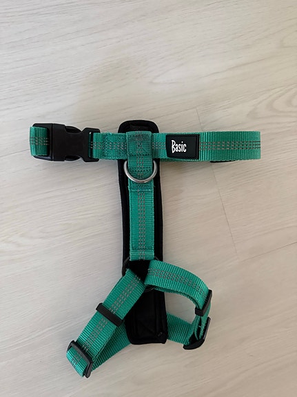 Y-valjas Basic First turkoosi