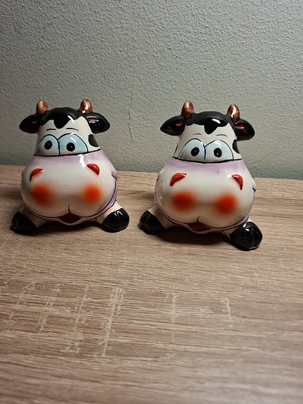Suola jo pippuri siroitin