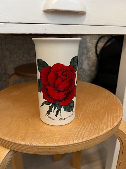 Arabia Esteri Tomula Rosa Botanica maljakko