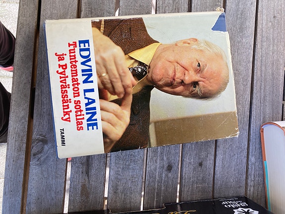 Edvin Laine: Tuntematon sotilas ja Pylvässänky