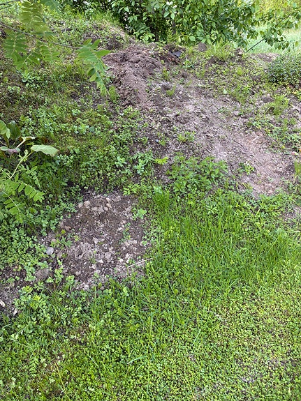 Täytemaata