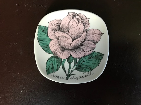 Esteri Tomula Rosa Elizabeth