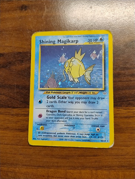 Shining Magikarp 66/64 Holo - pokemonkortti