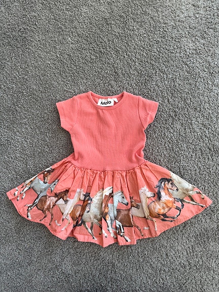 74 molo mekko
