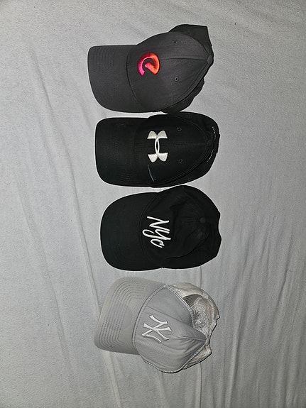 Lippikset
