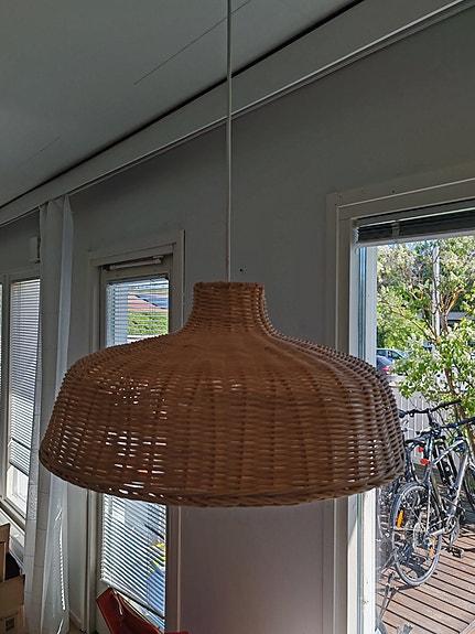 Rottinkinen kattovalaisin