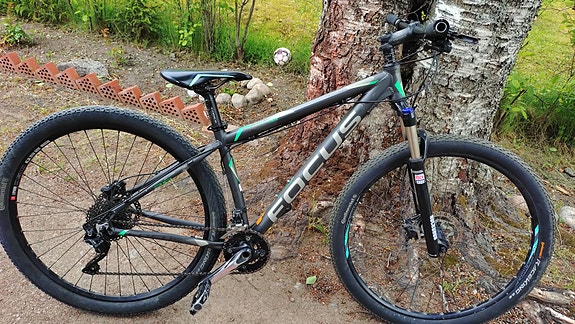 Focus Whistler sport edition koko S 29er.