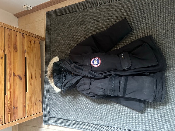 Canada goose expedition