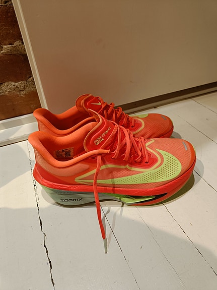 Nike zoom fly 6