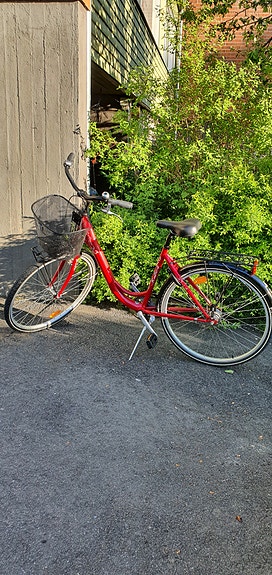 Naisten polkupyörä Raleigh Elegance